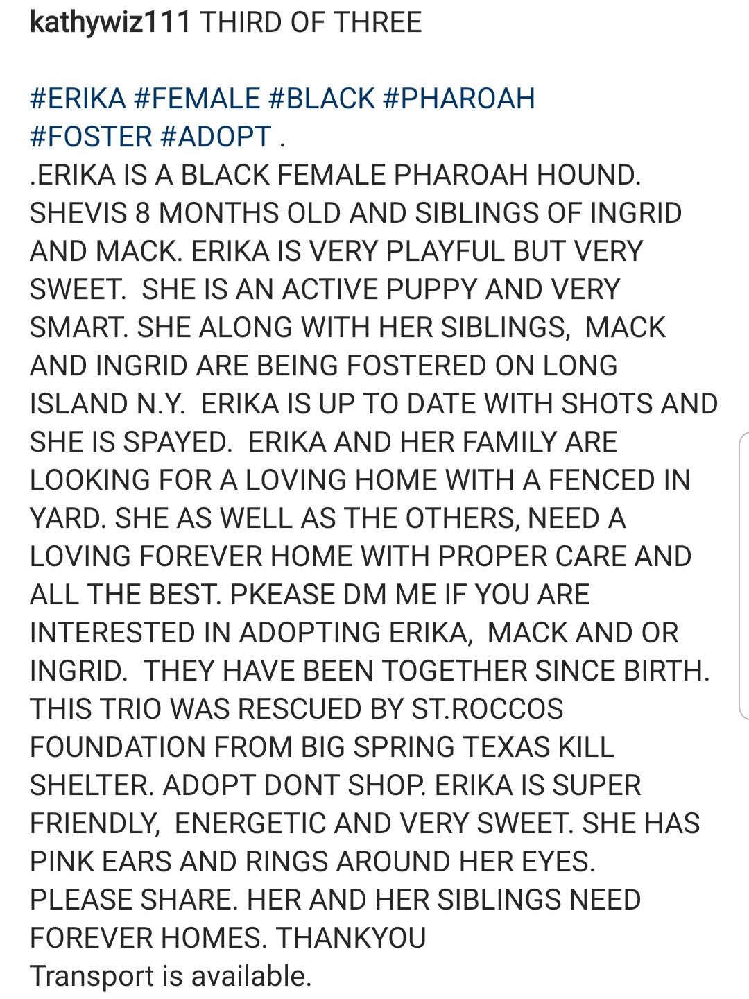 Erika Big Springs Foster Adopt Dog Rescue St Rocco Foundation Post